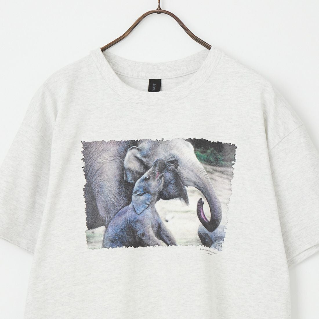 NOVELTY TEES [ノベルティティーズ] ELEPHANTS [ELEPHANTS] ASH