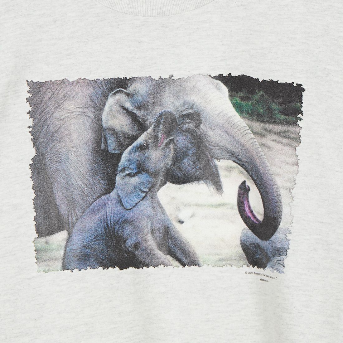 NOVELTY TEES [ノベルティティーズ] ELEPHANTS [ELEPHANTS] ASH