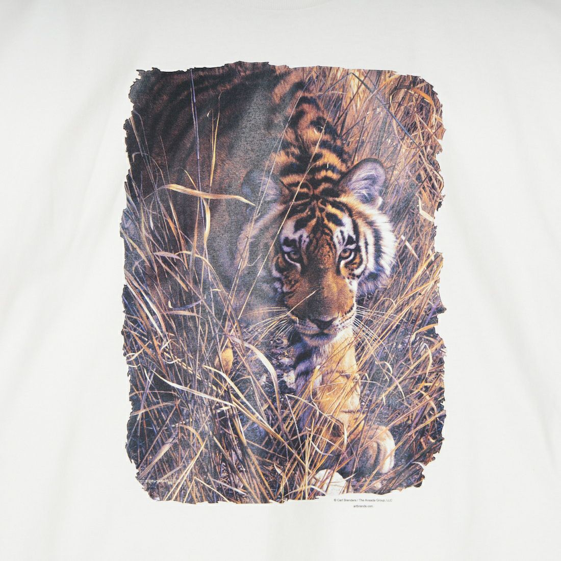 NOVELTY TEES [ノベルティティーズ] TIGER ショートスリーブTシャツ [TIGER] WHITE
