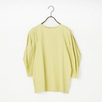 217 ﾗｲﾑｲｴﾛ