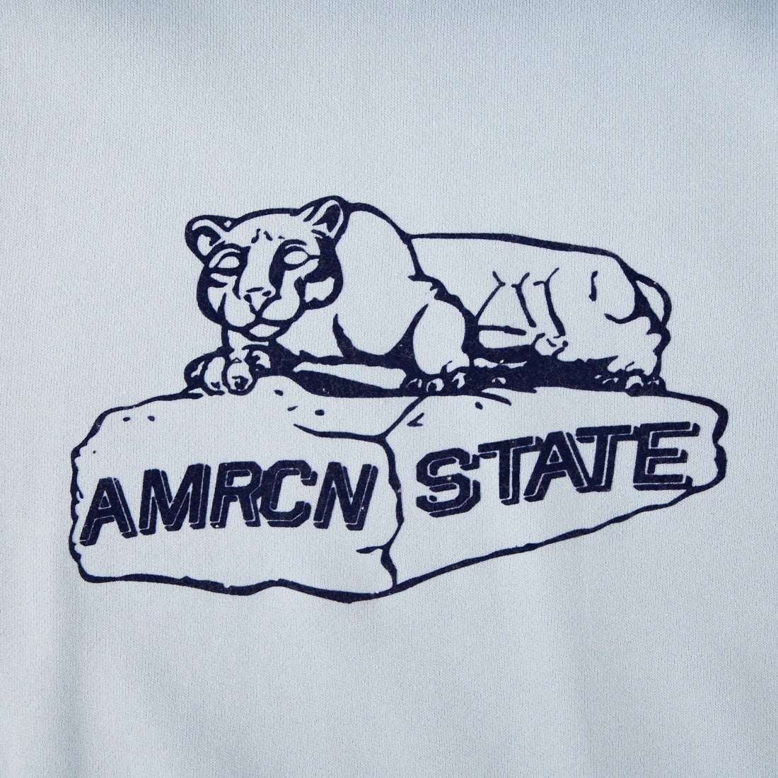 Americana [アメリカーナ] ショートスリーブラグランスウェット [BRF-800A-2] LTﾌﾞﾙｰ