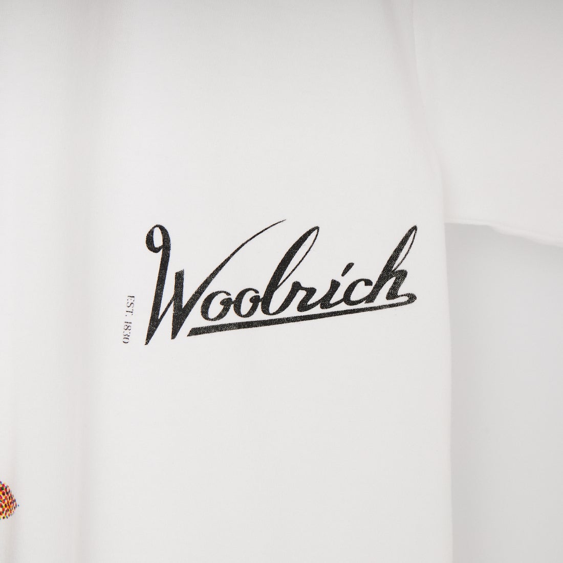 WOOLRICH [ウールリッチ] フィッシングTシャツ [WJTE2002] W WHITE