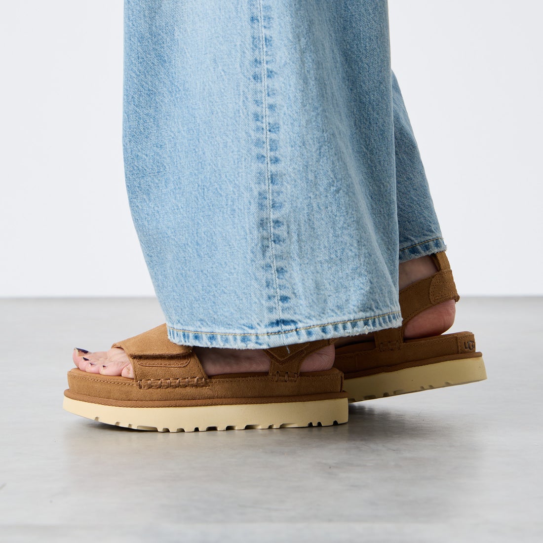UGG [アグ] ゴールデンスター [1136783] CHESTNUT