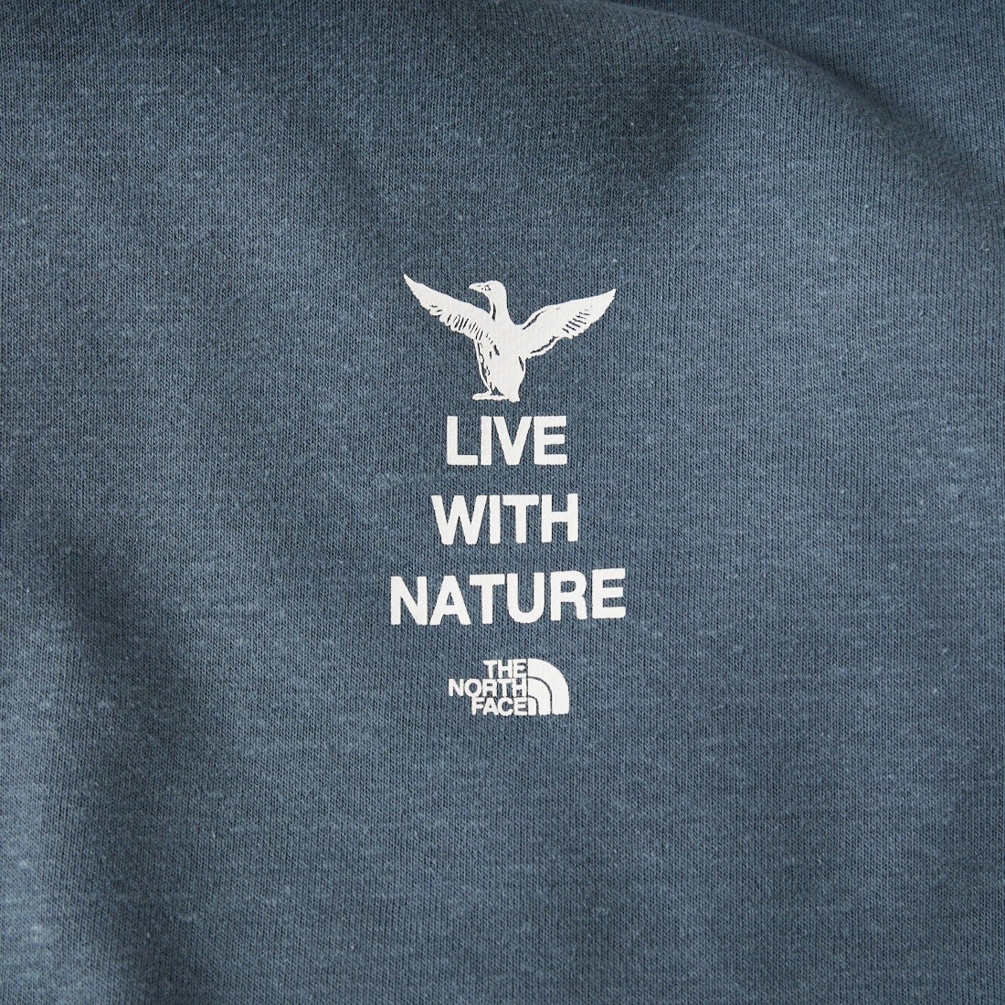 THE NORTH FACE [ザ ノースフェイス] ズーピッカークルー [NT12646] SL