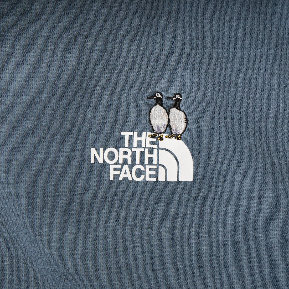 THE NORTH FACE [ザ ノースフェイス] ズーピッカークルー [NT12646