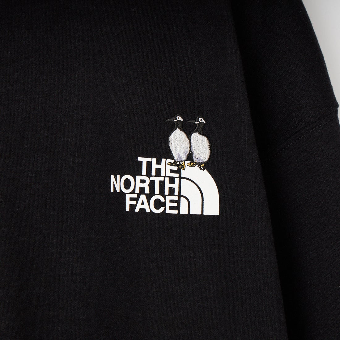 THE NORTH FACE [ザ ノースフェイス] ロングスリーブズーピッカーティー [NT32658] K