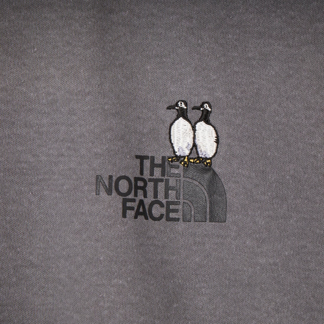 THE NORTH FACE [ザ ノースフェイス] ショートスリーブズーピッカーティー [NT32659] SP