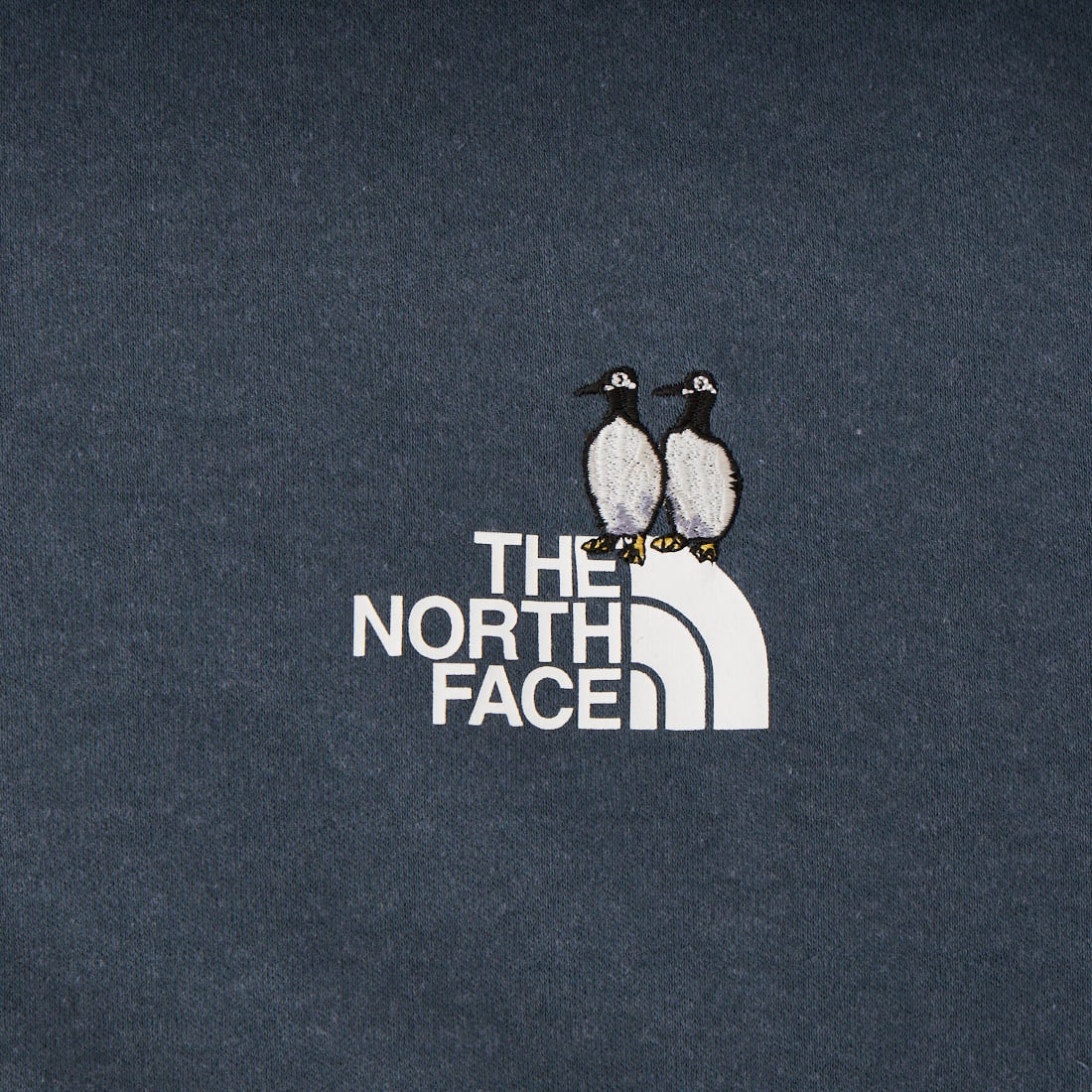 THE NORTH FACE [ザ ノースフェイス] ショートスリーブズーピッカーティー [NT32659] SL