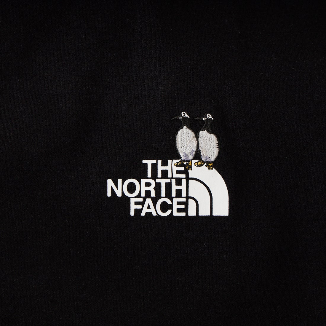 THE NORTH FACE [ザ ノースフェイス] ショートスリーブズーピッカーティー [NT32659] K