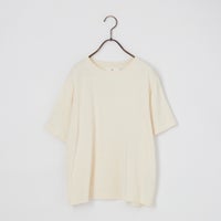 204 IVORY