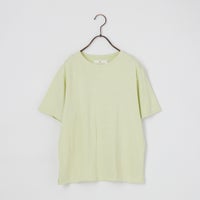 227 LIME