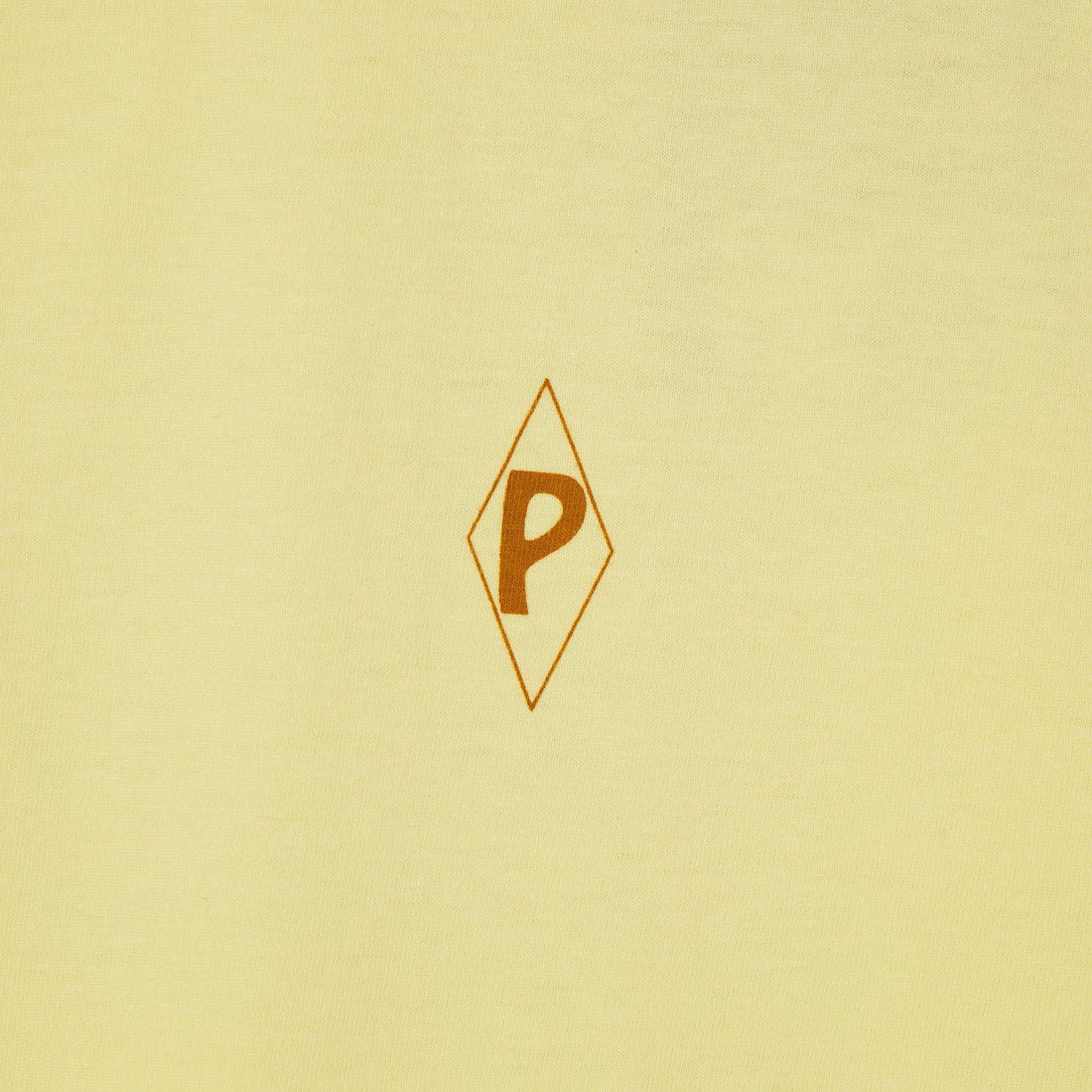 patagonia [パタゴニア] ウィメンズ ウォーターピープルスポッター オーバーサイズTシャツ [37866] LMZ