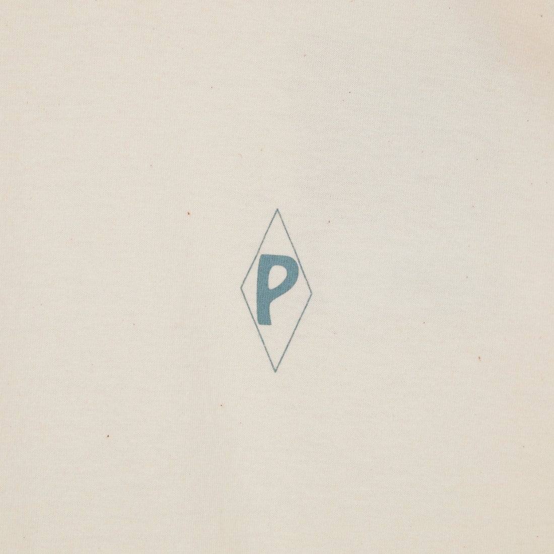 patagonia [パタゴニア] ウィメンズ ウォーターピープルスポッター オーバーサイズTシャツ [37866] UDNL