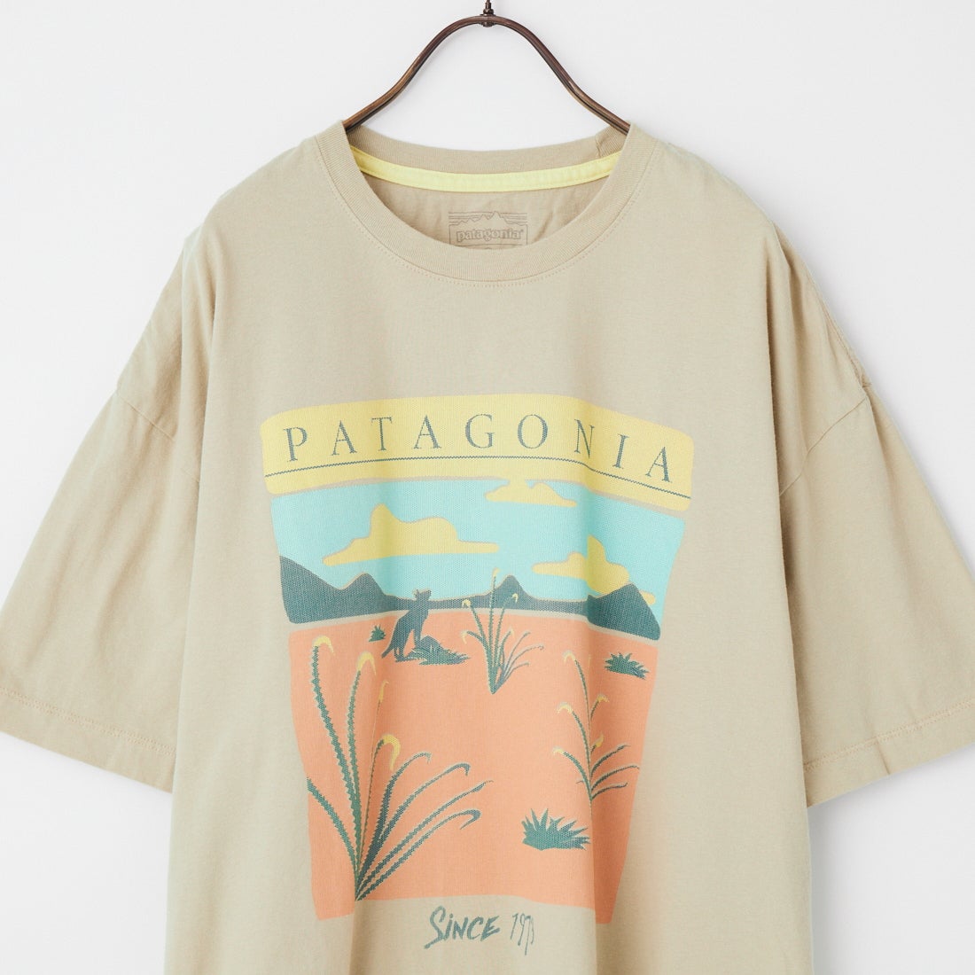 patagonia [パタゴニア] ウィメンズ デザート グロー オーバーサイズTシャツ [37868] WSTO