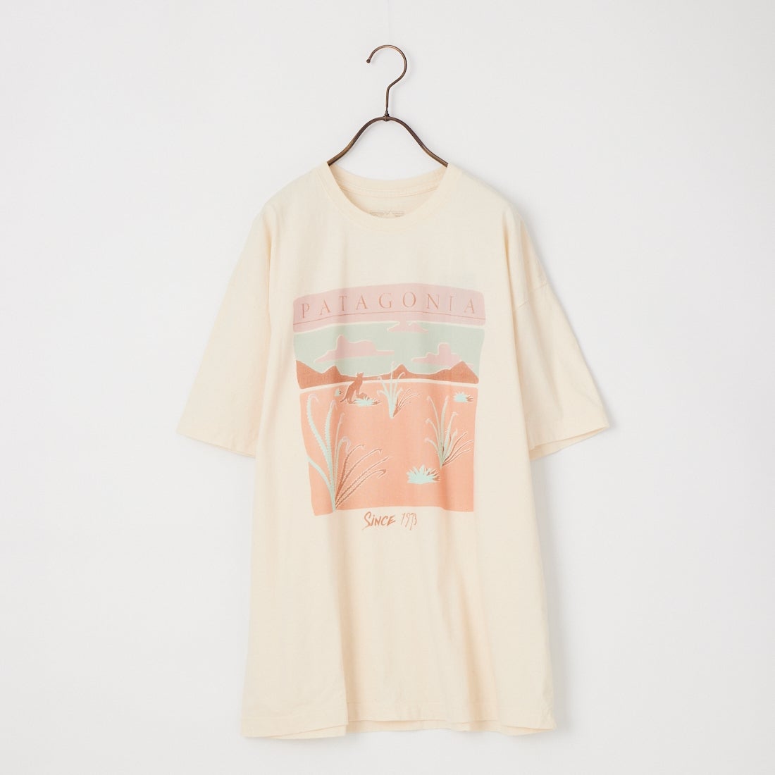 patagonia [パタゴニア] ウィメンズ デザート グロー オーバーサイズTシャツ [37868] UDNL