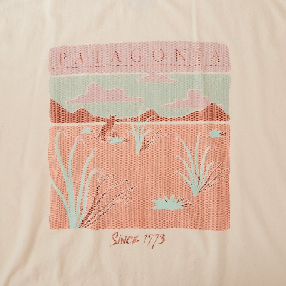 patagonia [パタゴニア] ウィメンズ デザート グロー オーバーサイズTシャツ [37868] UDNL