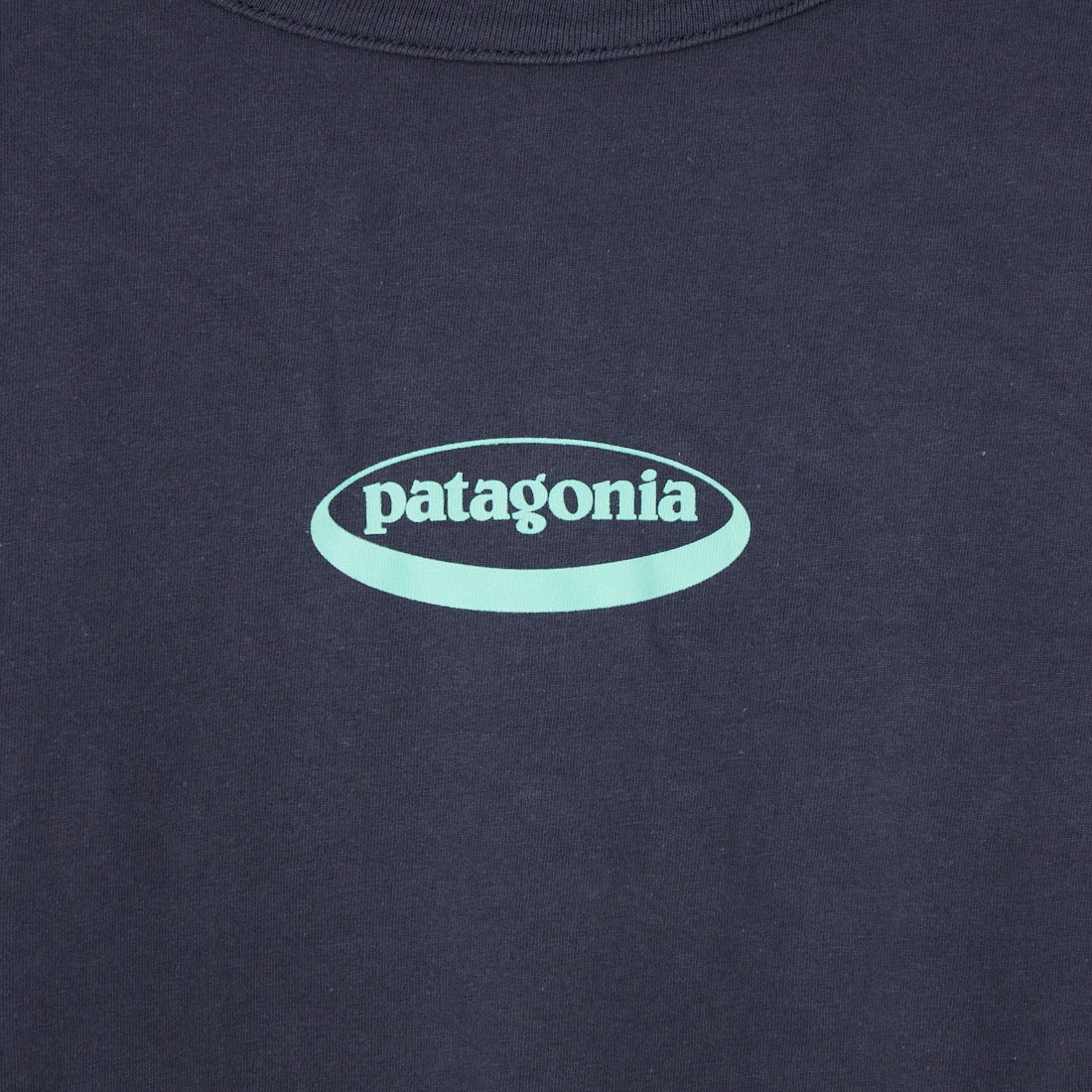 patagonia [パタゴニア] ウィメンズ ロングスリーブ '95 オーバルロゴ イージーカットTシャツ [37869] SMNT