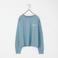 BLSG