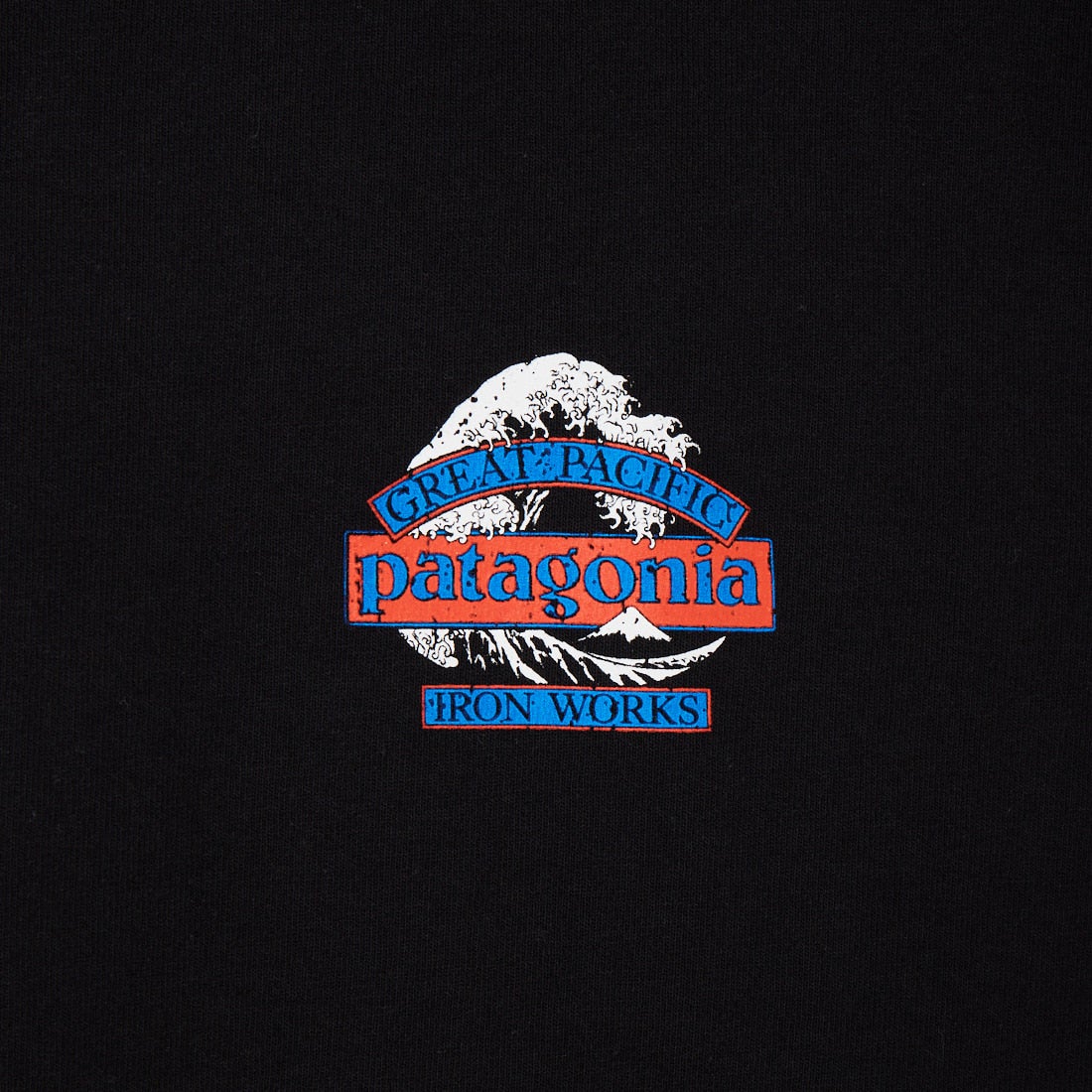 patagonia [パタゴニア] メンズ グレートウェーブスレスポンシビリティー [37873] BLK