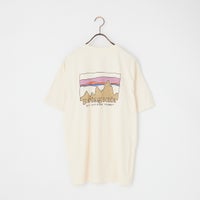 UDNL