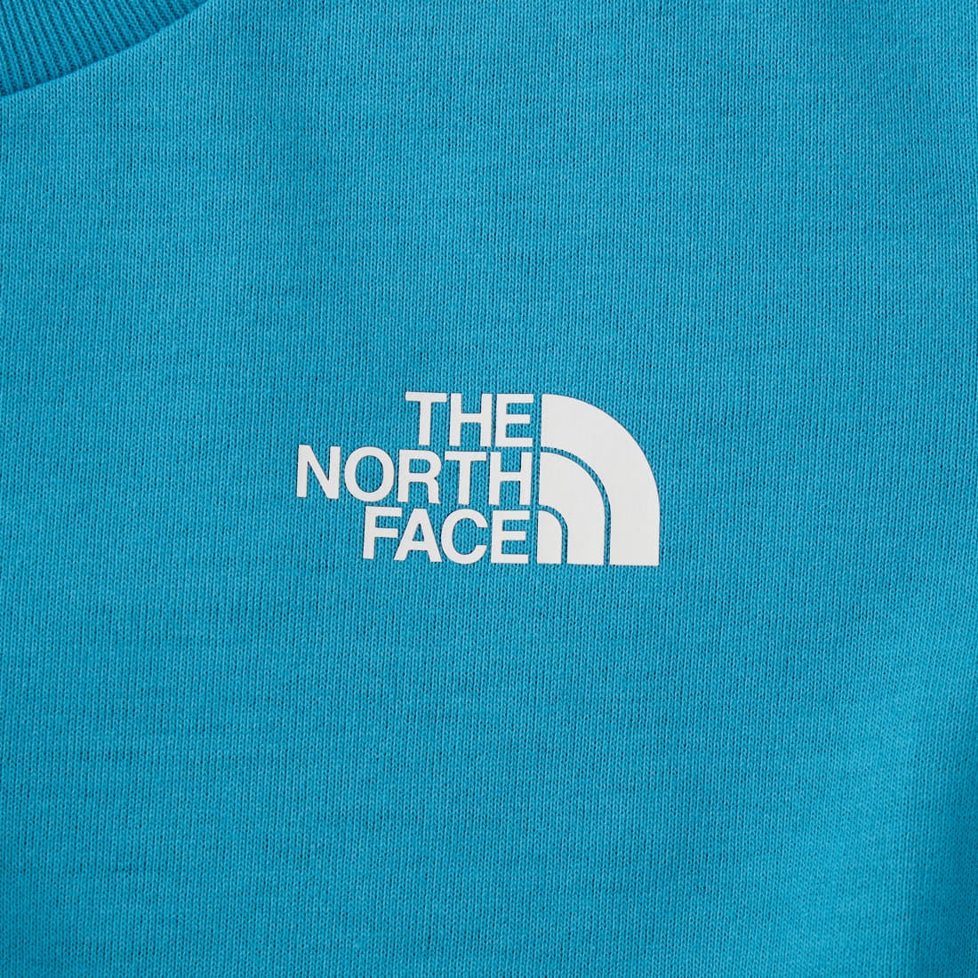 THE NORTH FACE [ザ ノースフェイス] トドラーショートスリーブフィールドグラフィックティー [NTT32612] RI