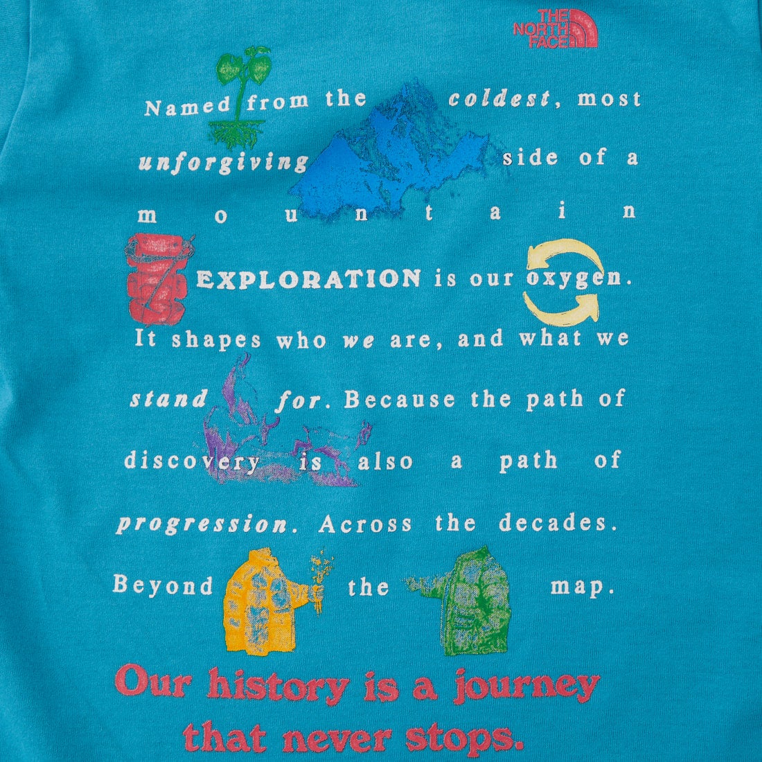 THE NORTH FACE [ザ ノースフェイス] トドラーショートスリーブフィールドグラフィックティー [NTT32612] RI