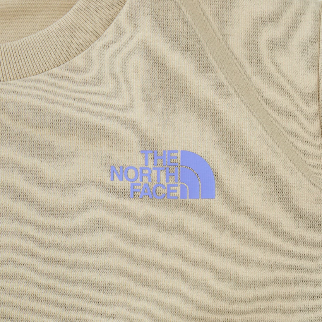 THE NORTH FACE [ザ ノースフェイス] トドラーショートスリーブフィールドグラフィックティー [NTT32612] DE