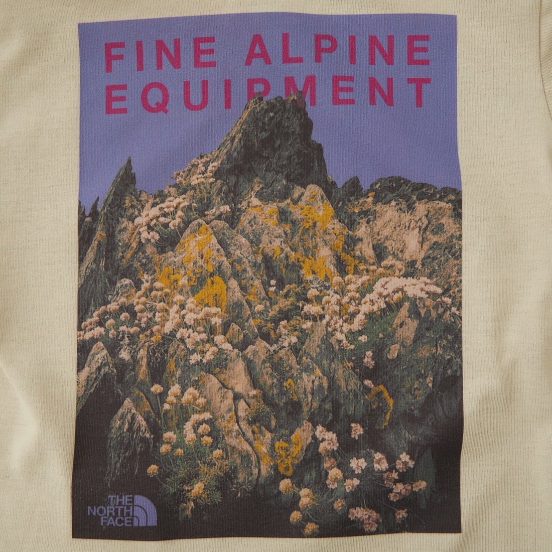 THE NORTH FACE [ザ ノースフェイス] トドラーショートスリーブフィールドグラフィックティー [NTT32612] DE