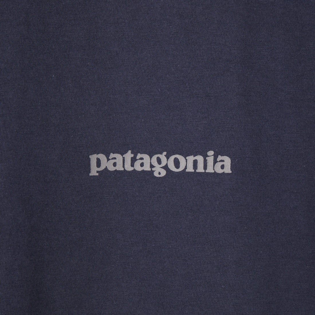 patagonia [パタゴニア] メンズ フィッツロイトラウトTシャツ [37846] SMDB