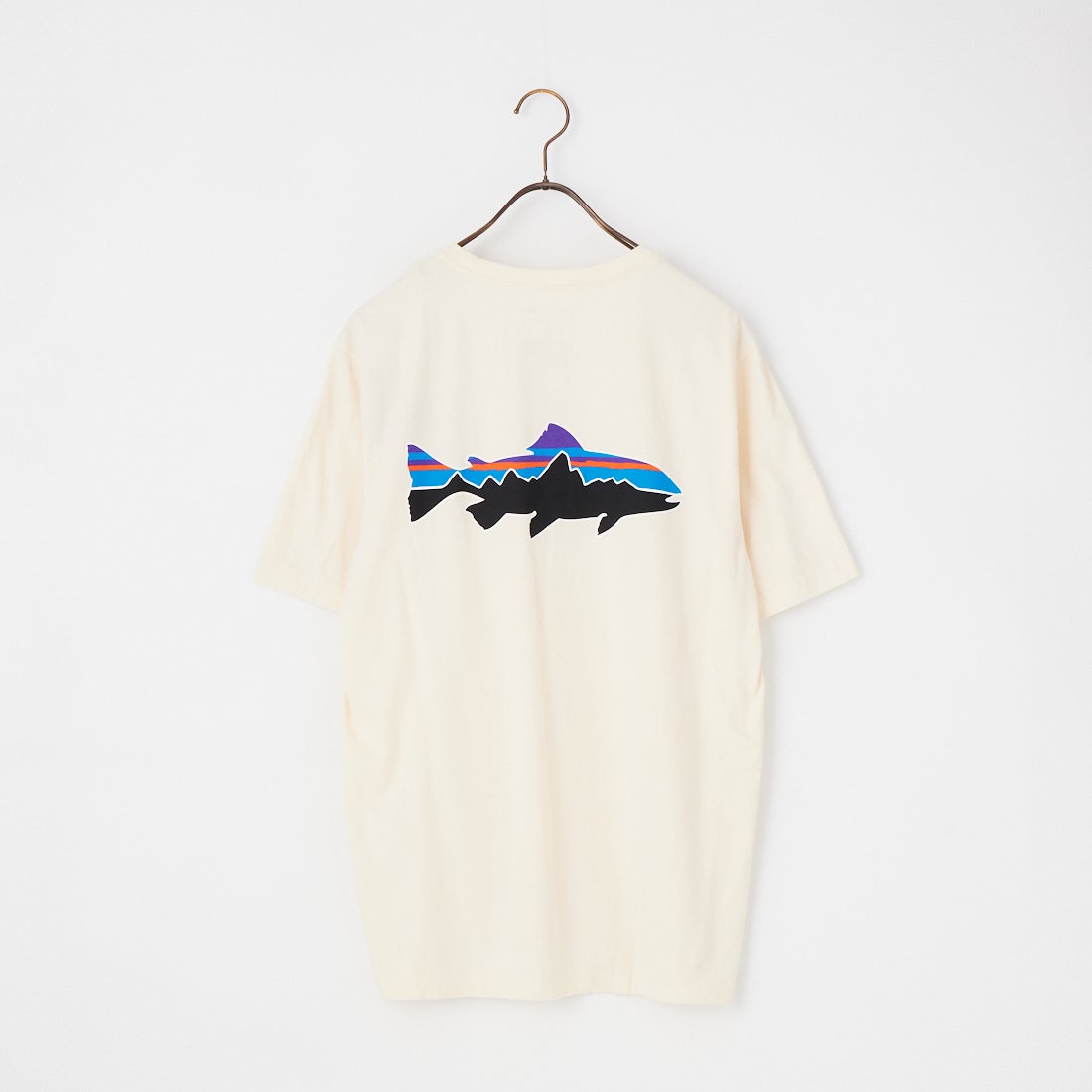 patagonia [パタゴニア] メンズ フィッツロイトラウトTシャツ [37846] UDNL