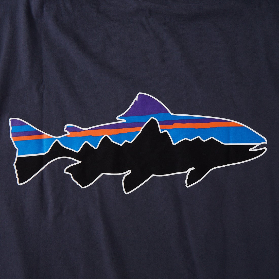 patagonia [パタゴニア] メンズ フィッツロイトラウトTシャツ [37846] SMDB