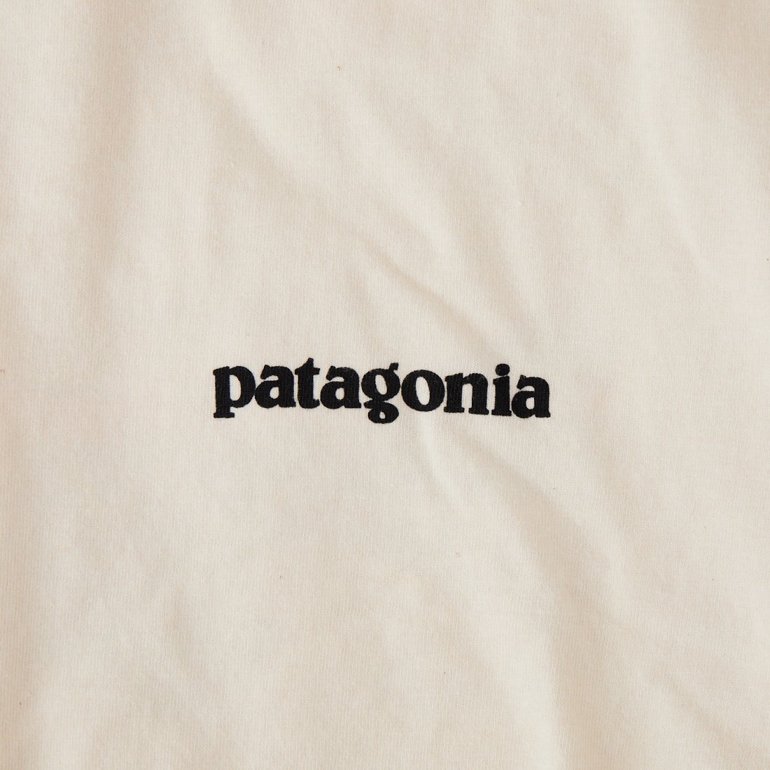 patagonia [パタゴニア] メンズ フィッツロイトラウトTシャツ [37846] UDNL