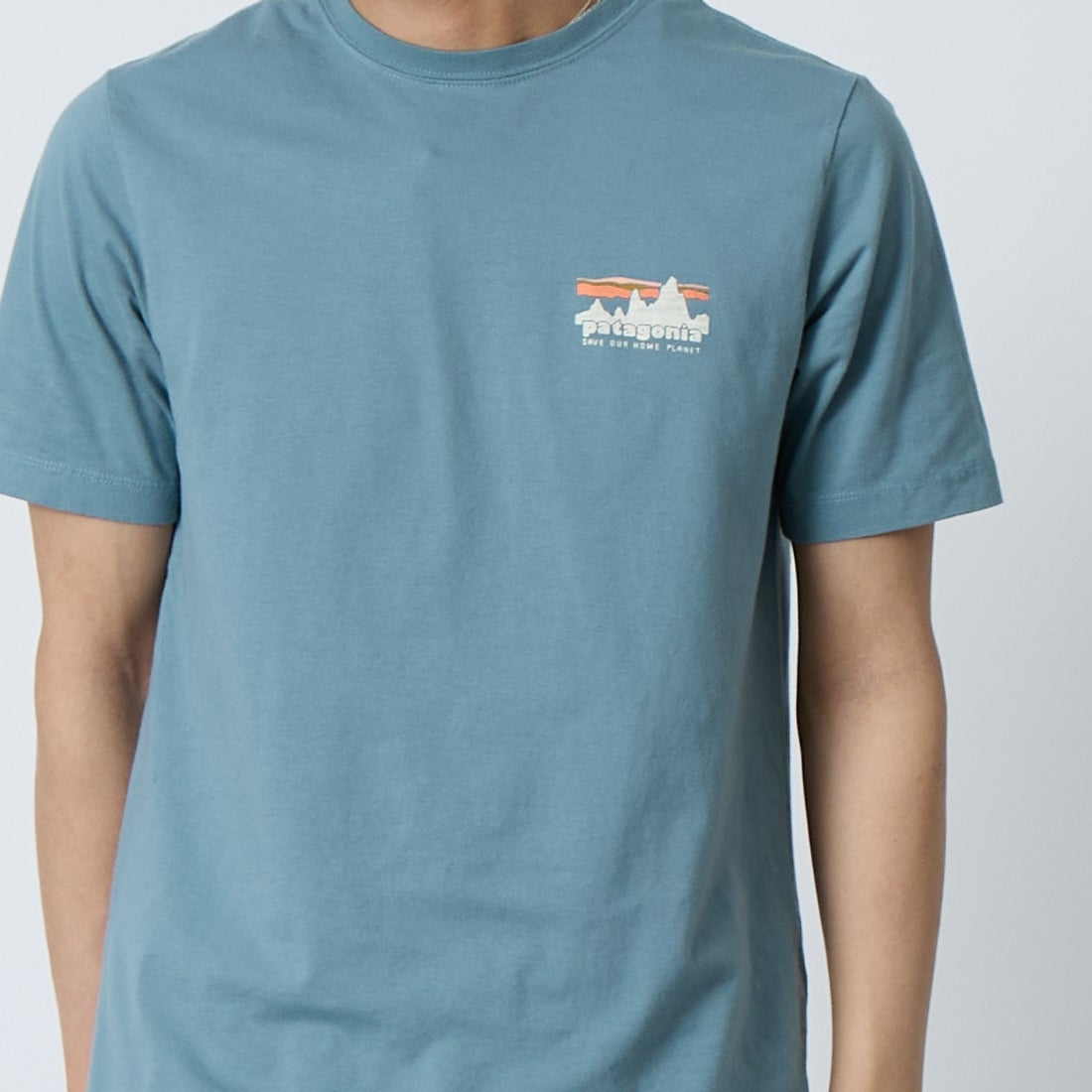 patagonia [パタゴニア] メンズ '73 スカイラインTシャツ [37841] BLSG &&モデル身長：179cm 着用サイズ：S&&