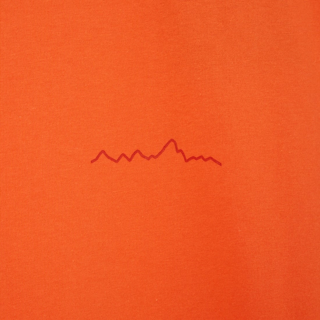 patagonia [パタゴニア] メンズ マルチピッチ Tシャツ [37843] ORPL