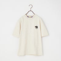 19 B.BEAR