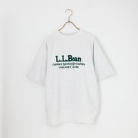 19 BIRCH