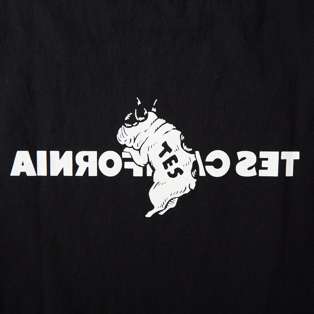 The Endless Summer [エンドレスサマー] 別注 TES CAL フロッキーロゴプリント カットオフTシャツ [FH-26574510-JF] BLACK