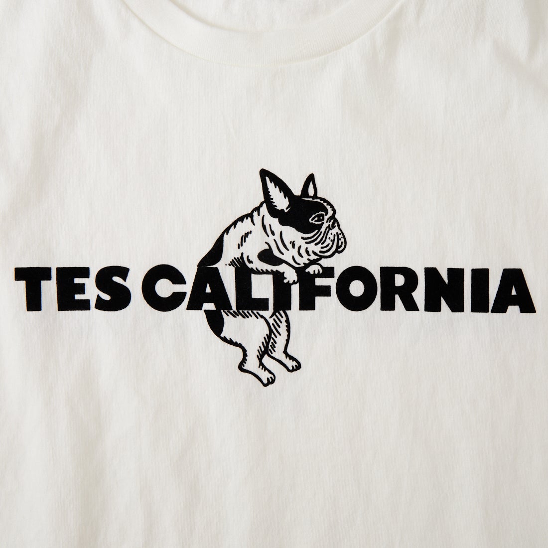 The Endless Summer [エンドレスサマー] 別注 TES CAL フロッキーロゴプリント カットオフTシャツ [FH-26574510-JF] WHITE