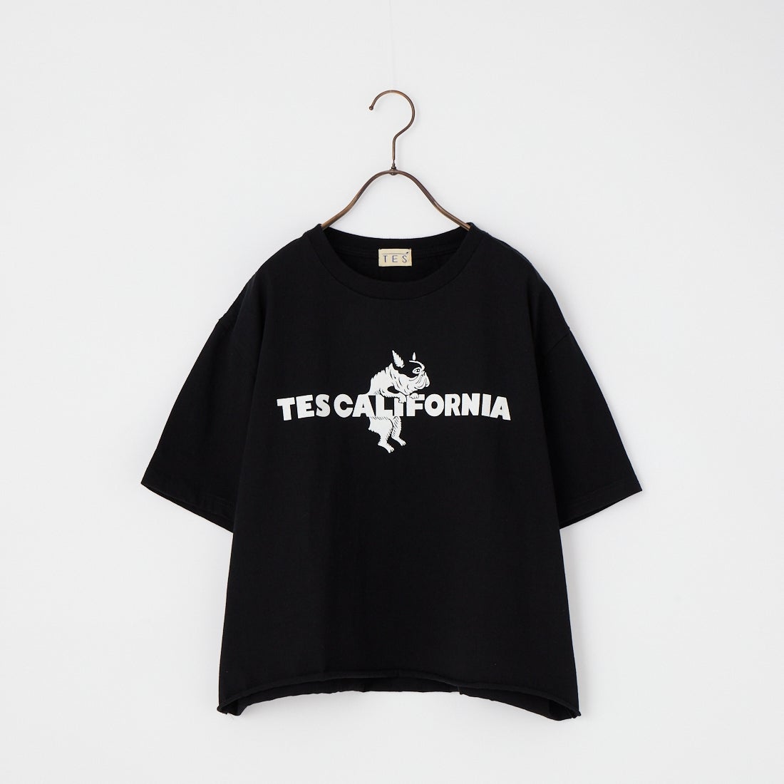 The Endless Summer [エンドレスサマー] 別注 TES CAL フロッキーロゴプリント カットオフTシャツ [FH-26574510-JF] BLACK