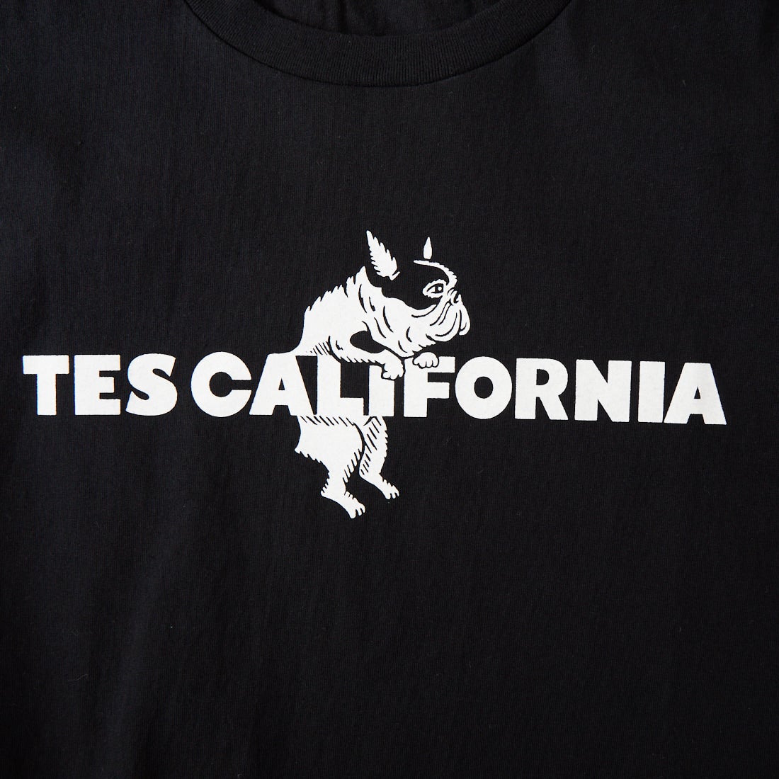 The Endless Summer [エンドレスサマー] 別注 TES CAL フロッキーロゴプリント カットオフTシャツ [FH-26574510-JF] BLACK