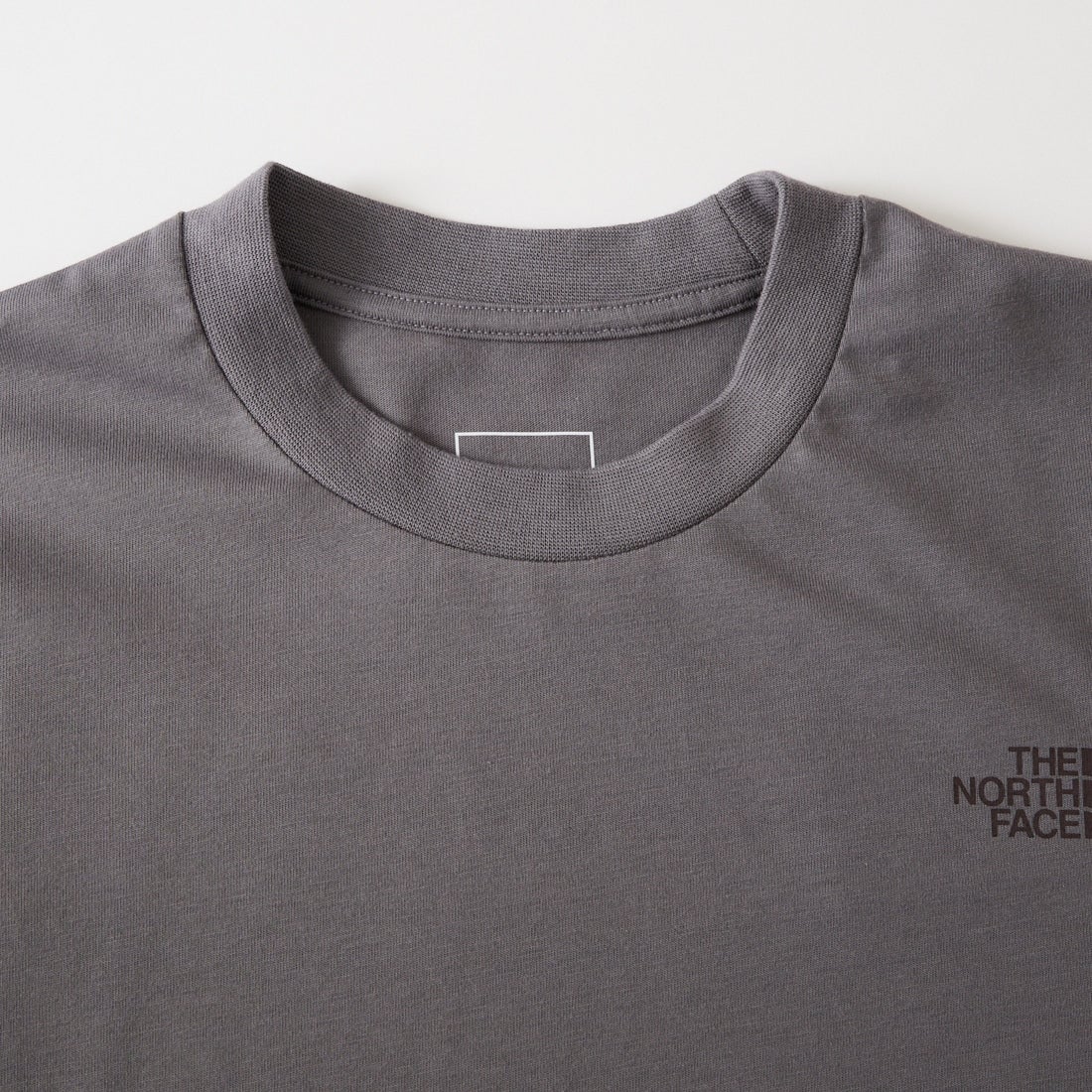 THE NORTH FACE [ザ ノースフェイス] ショートスリーブ レイバックトライバルTシャツ [NT12610] SP