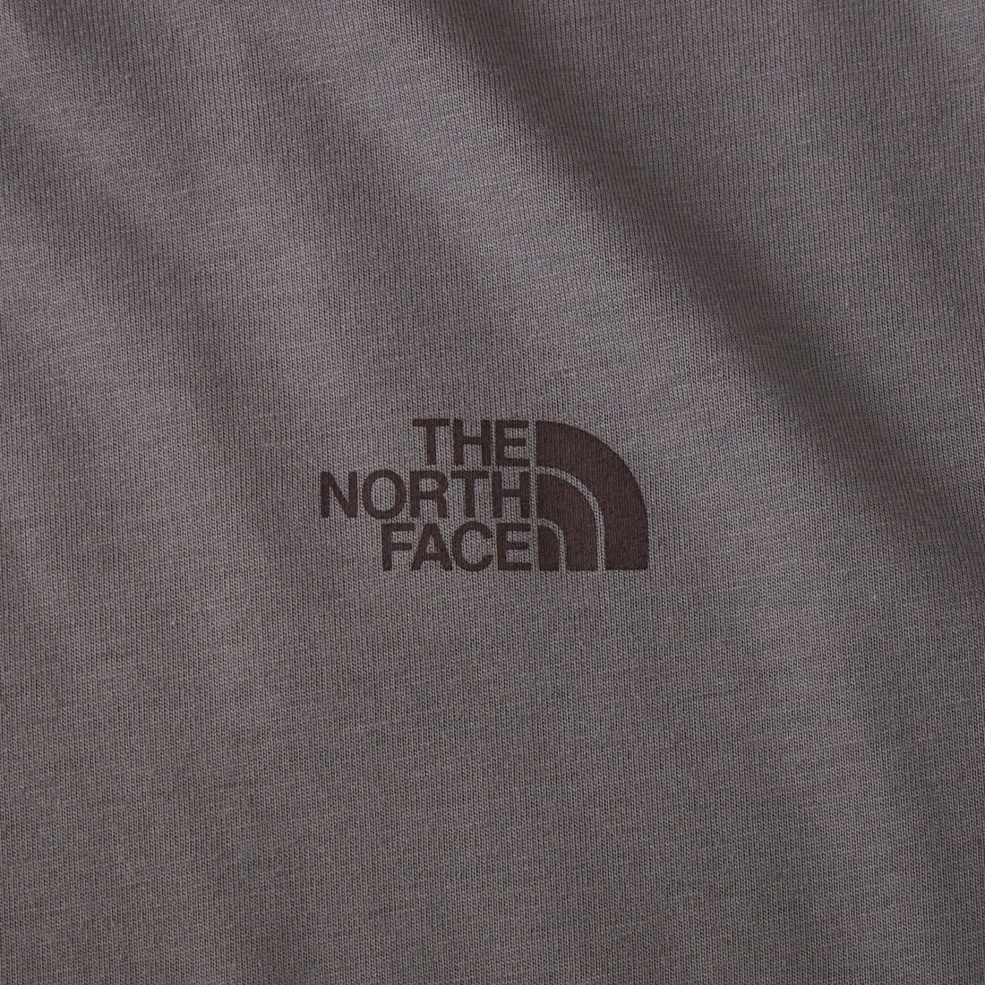 THE NORTH FACE [ザ ノースフェイス] ショートスリーブ レイバックトライバルTシャツ [NT12610] SP