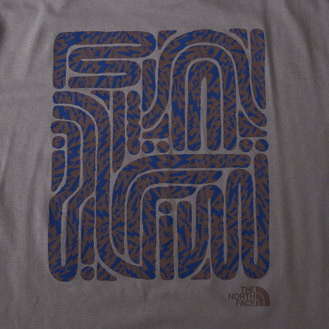 THE NORTH FACE [ザ ノースフェイス] ショートスリーブ レイバックトライバルTシャツ [NT12610] SP