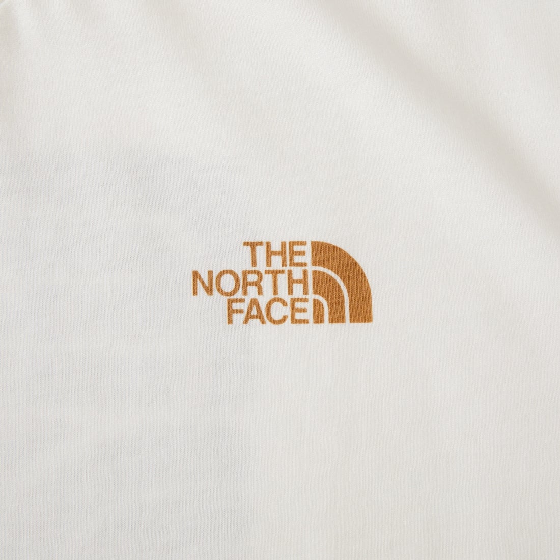 THE NORTH FACE [ザ ノースフェイス] ショートスリーブ レイバックトライバルTシャツ [NT12610] OW