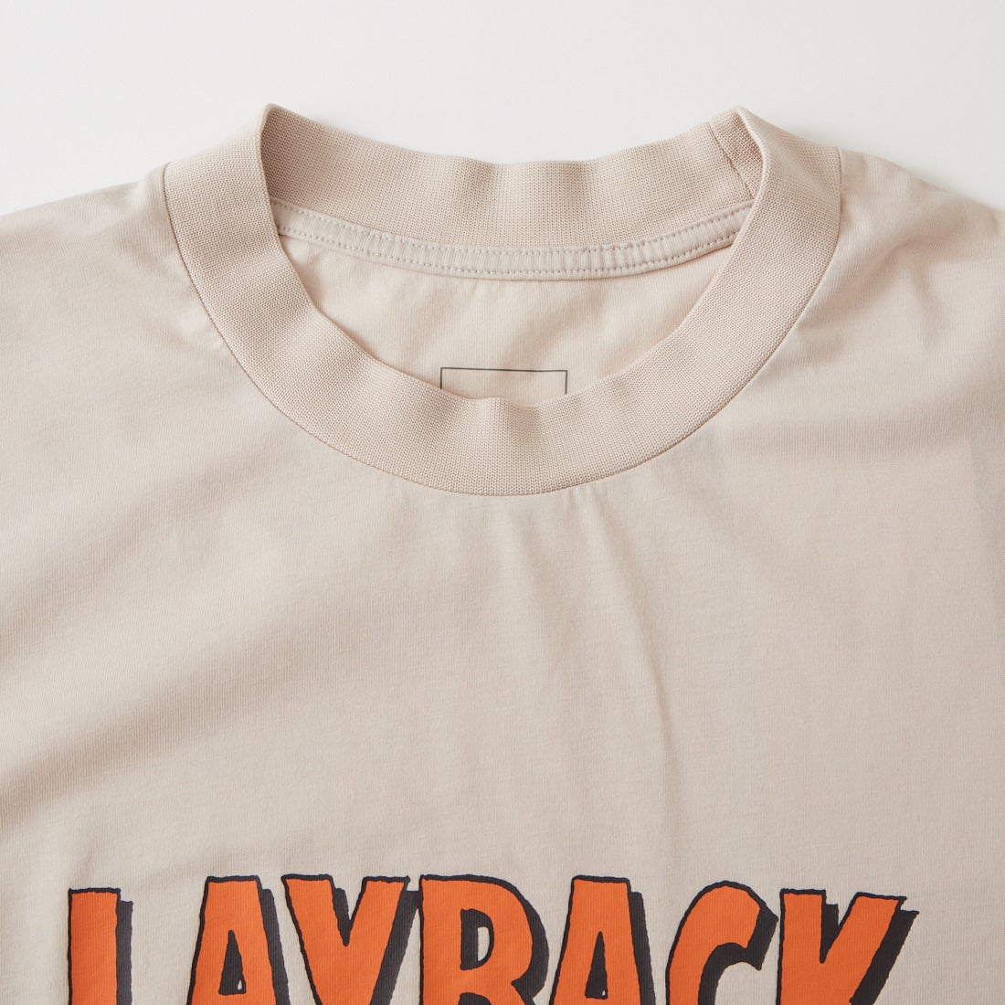 THE NORTH FACE [ザ ノースフェイス] ショートスリーブ レイバッククライムTシャツ [NT12611] FI