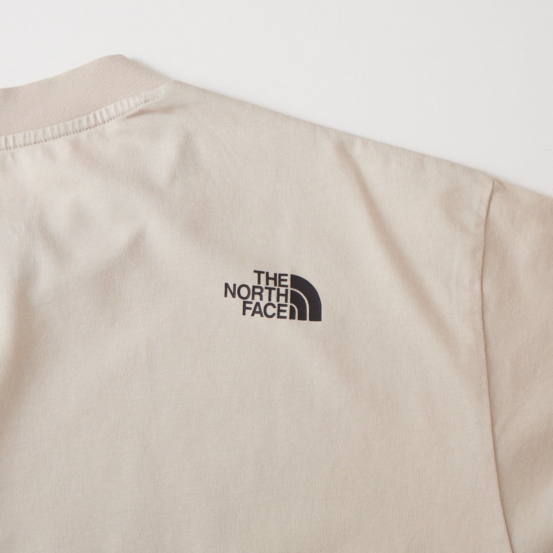 THE NORTH FACE [ザ ノースフェイス] ショートスリーブ レイバッククライムTシャツ [NT12611] FI