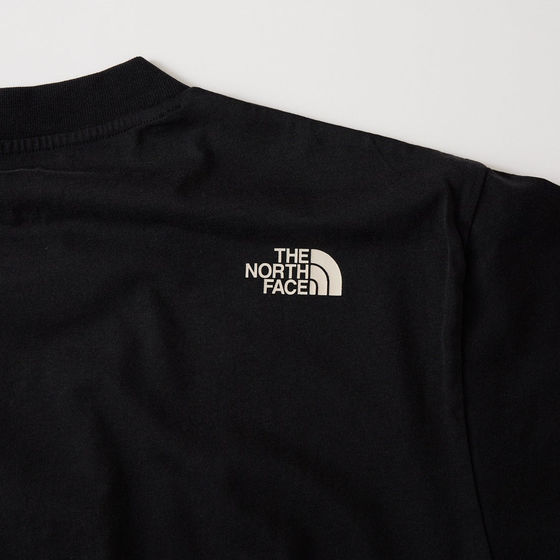 THE NORTH FACE [ザ ノースフェイス] ショートスリーブ レイバッククライムTシャツ [NT12611] K