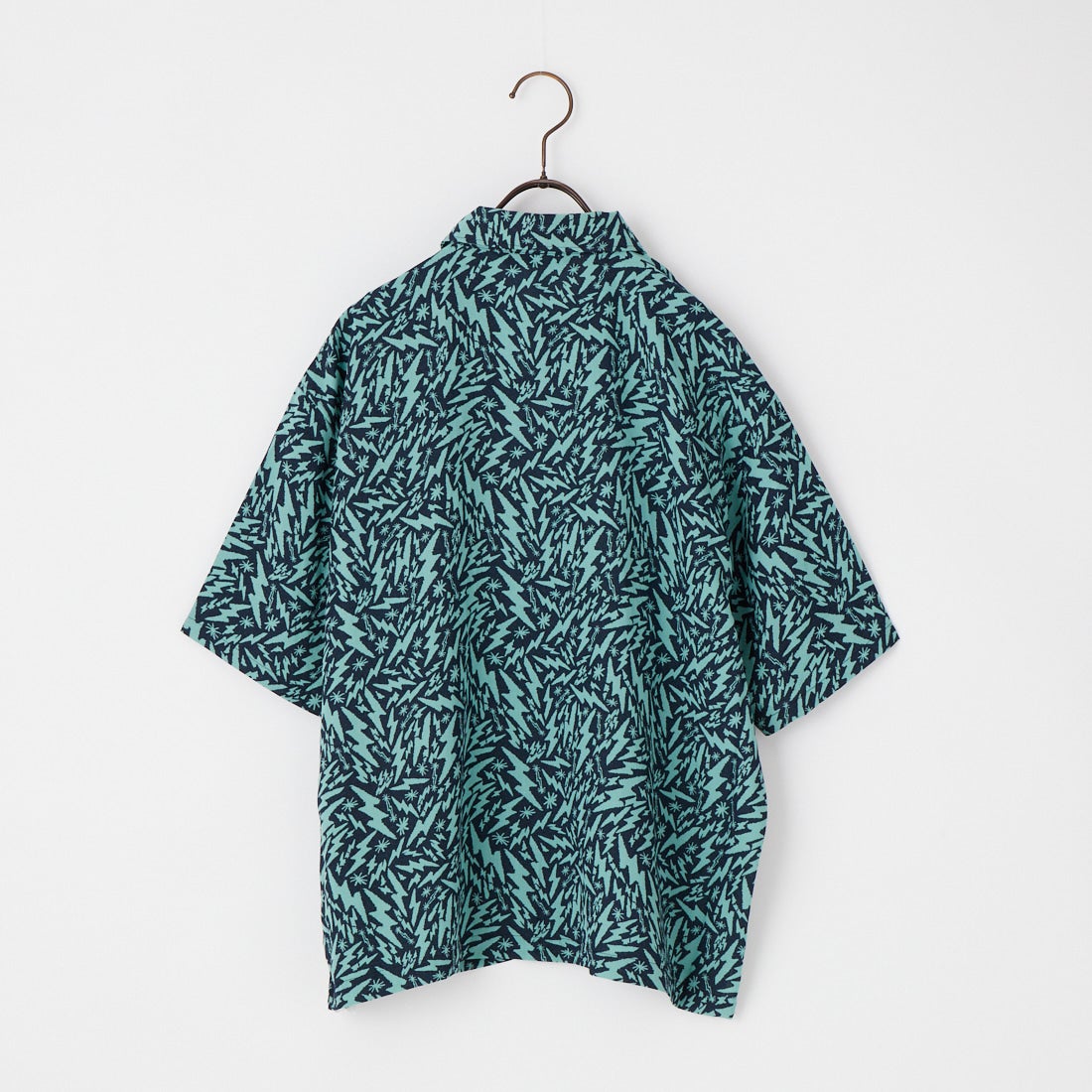 THE NORTH FACE [ザ ノースフェイス] レイジーライトニングシャツ [NRW22610] LB