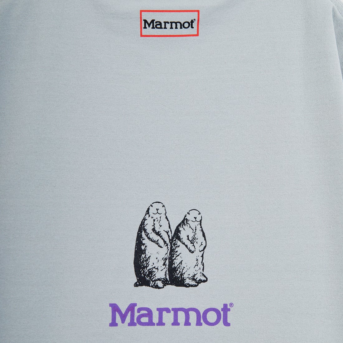 Marmot [マーモット] 別注 ドローコード付き クロップド プリントTシャツ [MTSS26WST366IN-JF] GRAY