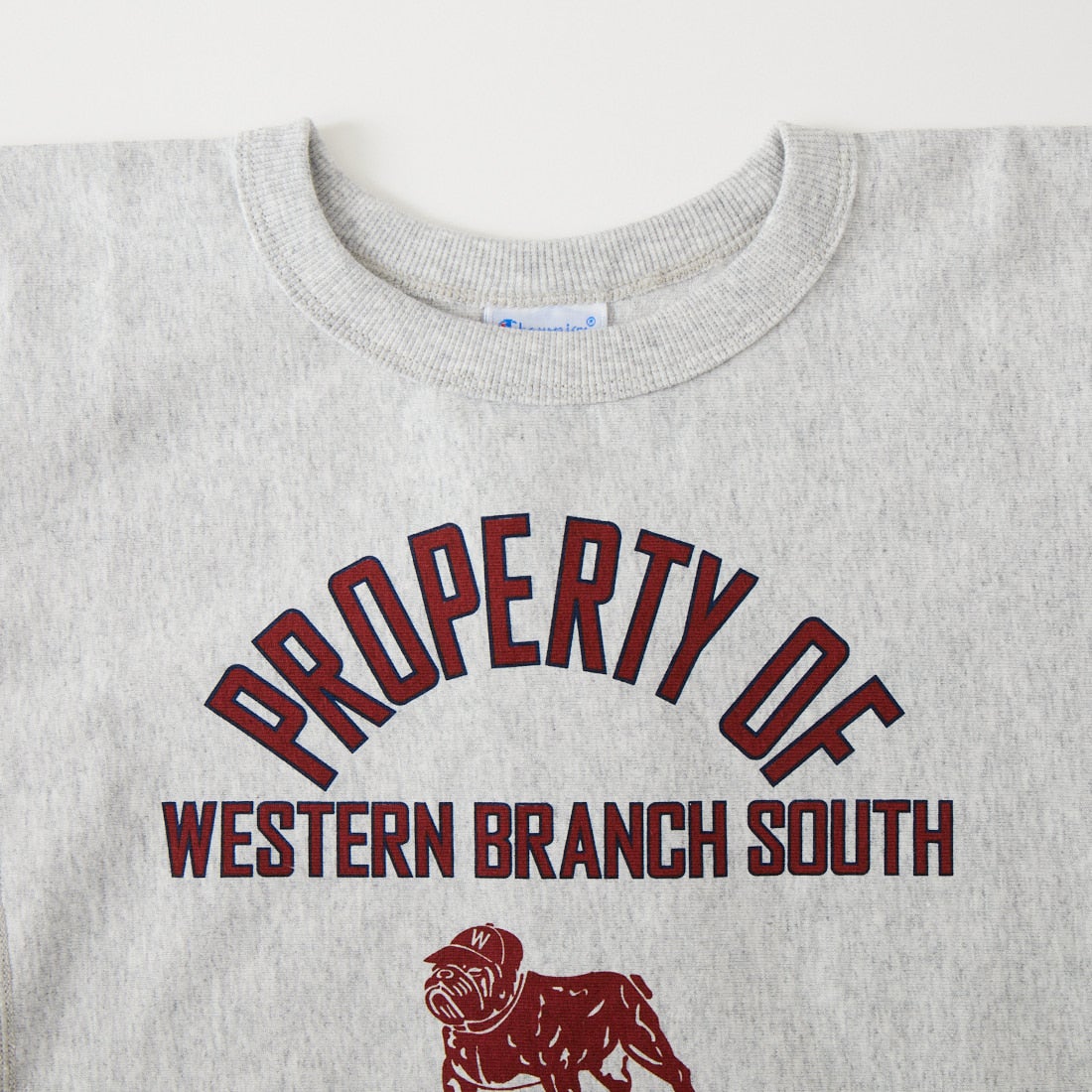 Champion [チャンピオン] リバースウィーブ(R) ショートスリーブTシャツ [CK-D303] 040 SILVER